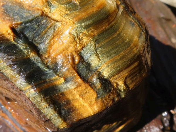 Natural Golden Blue Tigers Eye Specimen x 1 From Prieska, South Africa - TopRock