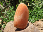 Polished Large Orange Twist Calcite Standing Free Form x 1 From Madagascar - TopRock