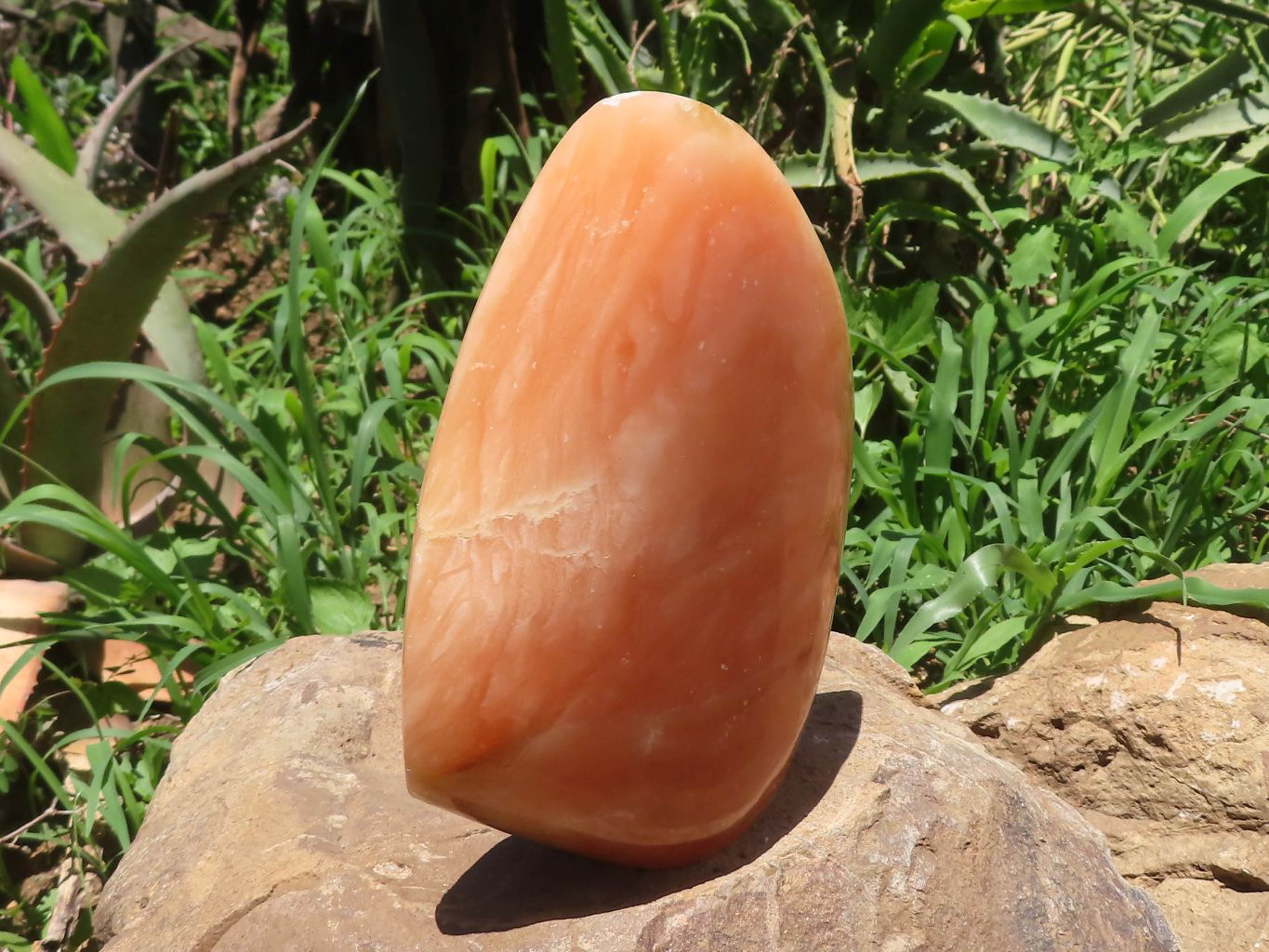 Polished Large Orange Twist Calcite Standing Free Form x 1 From Madagascar - TopRock