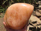 Polished Large Orange Twist Calcite Standing Free Form x 1 From Madagascar - TopRock