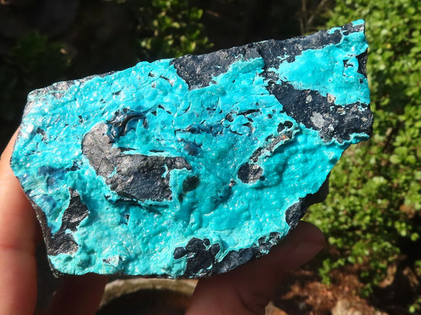 Natural Blue Silica Chrysocolla Specimens  x 2 From Congo