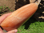 Polished Large Orange Twist Calcite Standing Free Form x 1 From Madagascar - TopRock