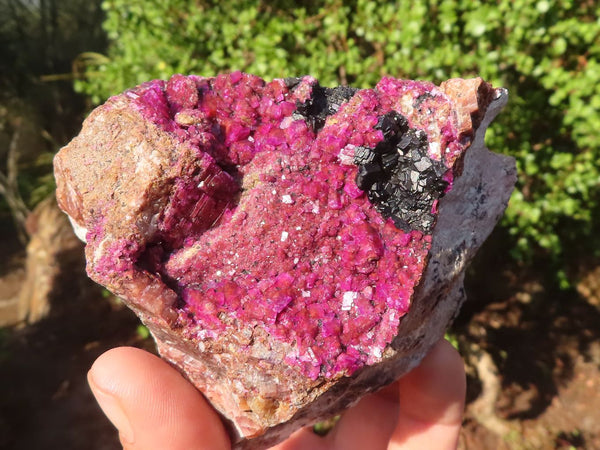 Natural Pink Salrose Cobaltion Dolomite Specimens  x 3 From Congo