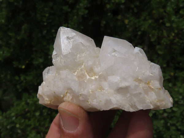 Natural Castle Quartz Cluster Cathedral Windows / White Phantoms Selected Clusters x 6 From Ivato Madagascar - TopRock