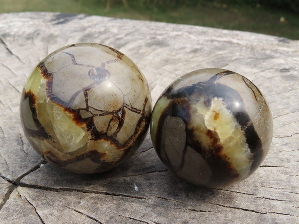 Polished Septerye (Calcite & Aragonite) Spheres x 6 From Madagascar - TopRock