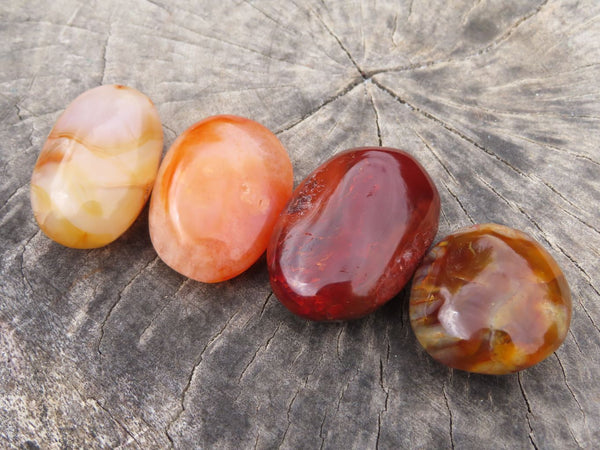 Polished Carnelian Gallets x 24 From Madagascar - TopRock