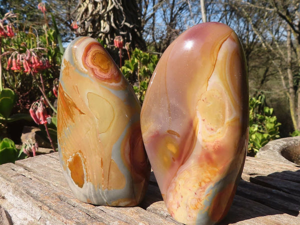 Polished Polychrome / Picasso Jasper Standing Free Forms  x 3 From Madagascar