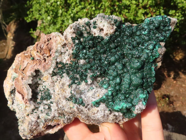 Natural Rare Ball Malachite On Drusy Quartz & Dolomite Matrix  x 1 From Kambove, Congo - Toprock Gemstones and Minerals 