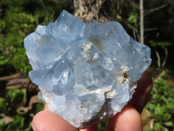 Natural Blue Celestite Crystal Specimens  x 5 From Sakoany, Madagascar - Toprock Gemstones and Minerals 