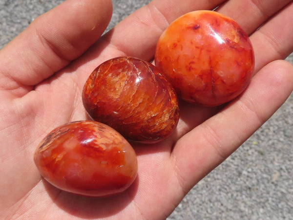 Polished Stunning Carnelian Agate Palm Stones  x 35 From Madagascar - TopRock