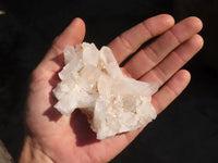 Natural Small White Quartz Clusters  x 12 From Madagascar - Toprock Gemstones and Minerals 