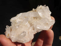 Natural Small White Quartz Clusters  x 12 From Madagascar - Toprock Gemstones and Minerals 