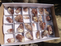 Natural Red Hematoid Quartz Specimens x 24 From Karoi, Zimbabwe - Toprock Gemstones and Minerals 