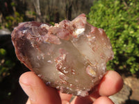 Natural Red Hematoid Quartz Specimens x 24 From Karoi, Zimbabwe - Toprock Gemstones and Minerals 