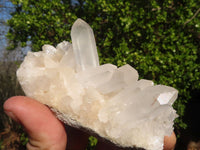 Natural Small White Quartz Clusters  x 12 From Madagascar - Toprock Gemstones and Minerals 