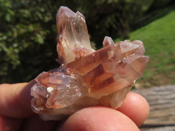 Natural Single Red Hematoid Quartz Crystals  x 35 From Zimbabwe - TopRock