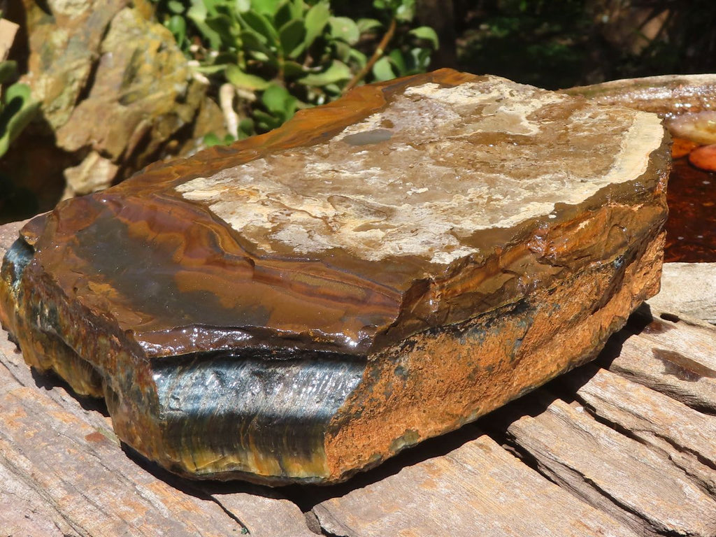 Natural Golden Blue Tigers Eye Specimen x 1 From Prieska, South Africa - TopRock