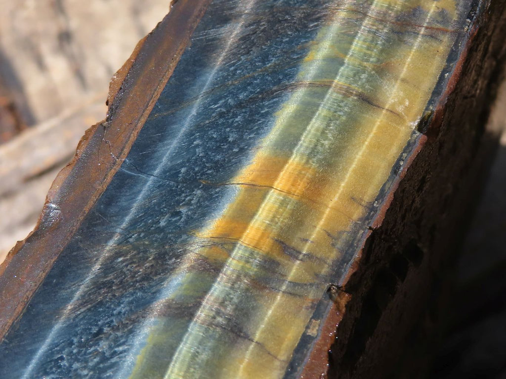 Natural Golden Blue Tigers Eye Specimen x 1 From Prieska, South Africa - TopRock