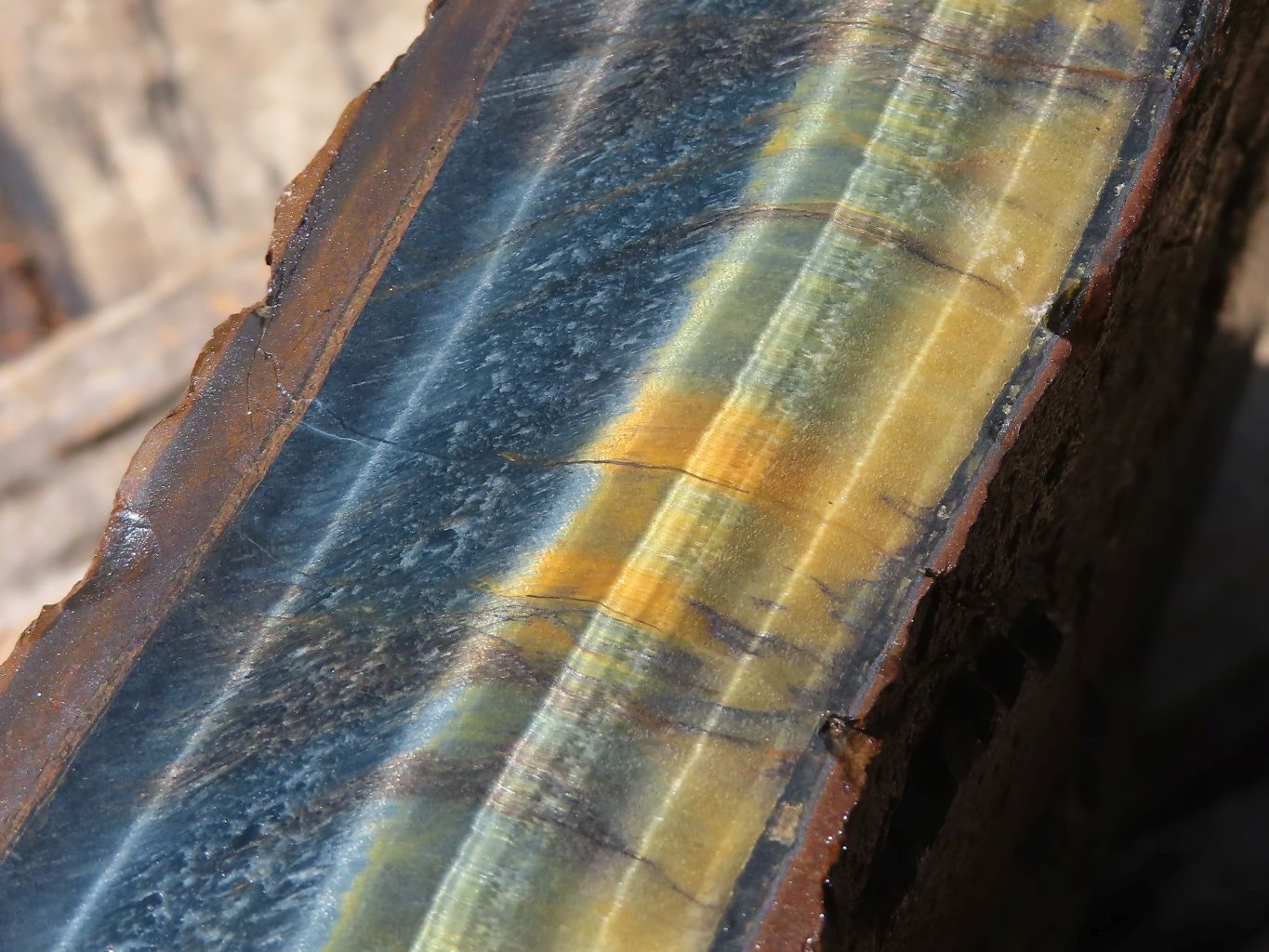 Natural Golden Blue Tigers Eye Specimen x 1 From Prieska, South Africa - TopRock