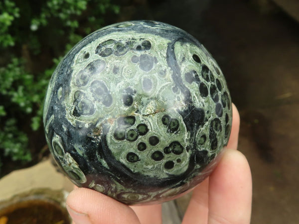 Polished Stromatolite / Kambamba Jasper Spheres  x 4 From Madagascar - TopRock