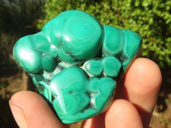 Polished Small Flower Banded Malachite Free Forms  x 24 From Congo - Toprock Gemstones and Minerals 