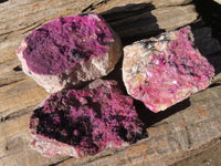 Natural Pink Salrose Cobaltion Dolomite Specimens  x 4 From Kakanda, Congo - Toprock Gemstones and Minerals 
