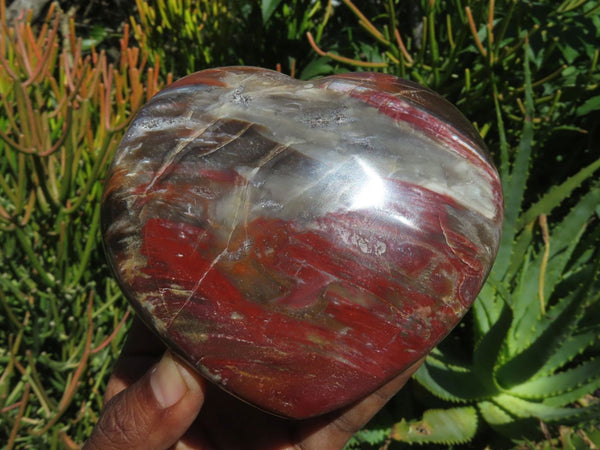 Polished Lagre Red Burgundy Podocarpus Petrified Wood Large Hearts x 2 From Mahaganja, Madagascar - TopRock