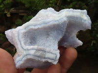 Natural Etched Blue Chalcedony Specimens  x 12 From Malawi - TopRock