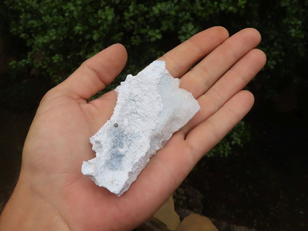 Natural Etched Blue Chalcedony Specimens  x 12 From Malawi - TopRock