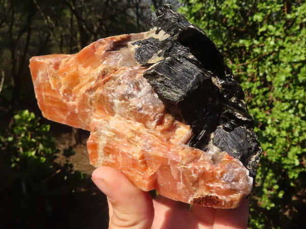 Natural New Sunset Orange Calcite Cubic Specimens  x 3 From Namibia