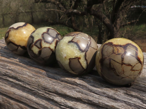Polished Septaria (Calcite & Aragonite) Spheres  x 4 From Mahajanga, Madagascar - TopRock