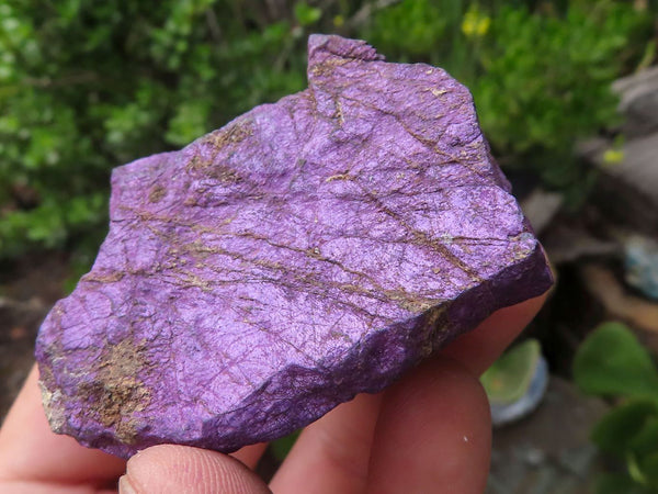 Natural Highly Selected Rough Purpurite Specimens  x 22 From Uis, Namibia - TopRock