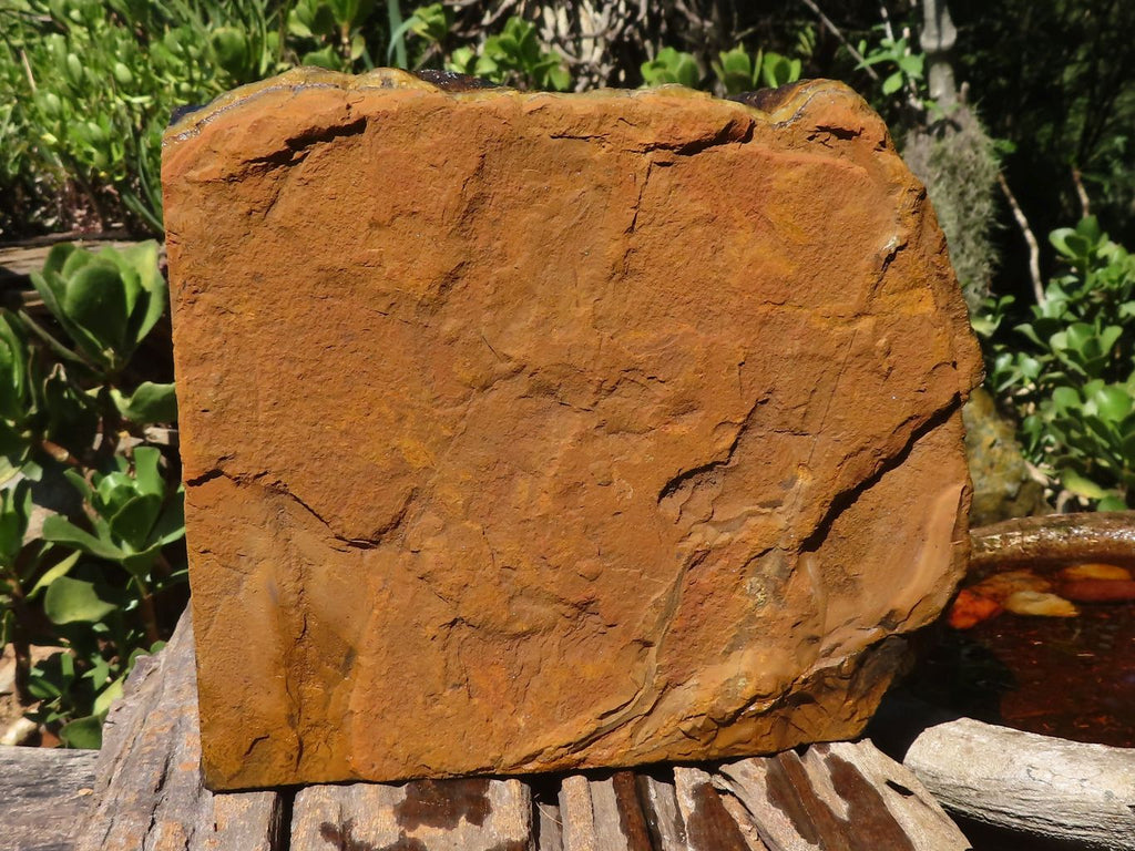 Natural Golden Blue Tigers Eye Specimen x 1 From Prieska, South Africa - TopRock