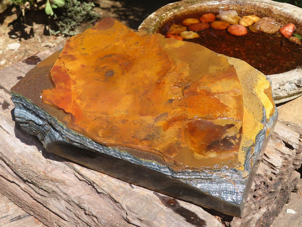 Natural Golden Blue Tigers Eye Specimen x 1 From Prieska, South Africa - TopRock