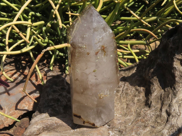 Polished Smokey Sceptre Window Quartz Crystal x 1 From Akansobe, Madagascar - TopRock