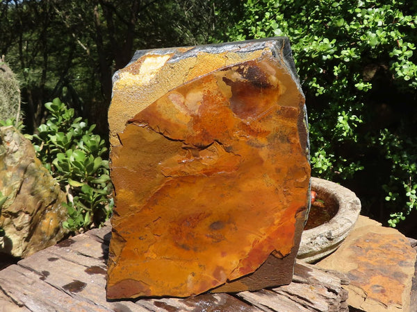 Natural Golden Blue Tigers Eye Specimen x 1 From Prieska, South Africa - TopRock