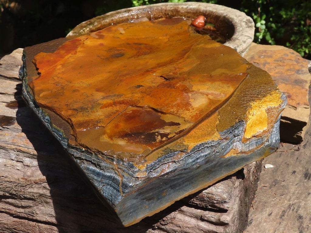 Natural Golden Blue Tigers Eye Specimen x 1 From Prieska, South Africa - TopRock