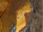 Natural Golden Blue Tigers Eye Specimen x 1 From Prieska, South Africa - TopRock