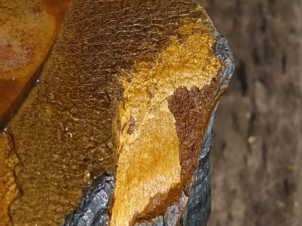 Natural Golden Blue Tigers Eye Specimen x 1 From Prieska, South Africa - TopRock