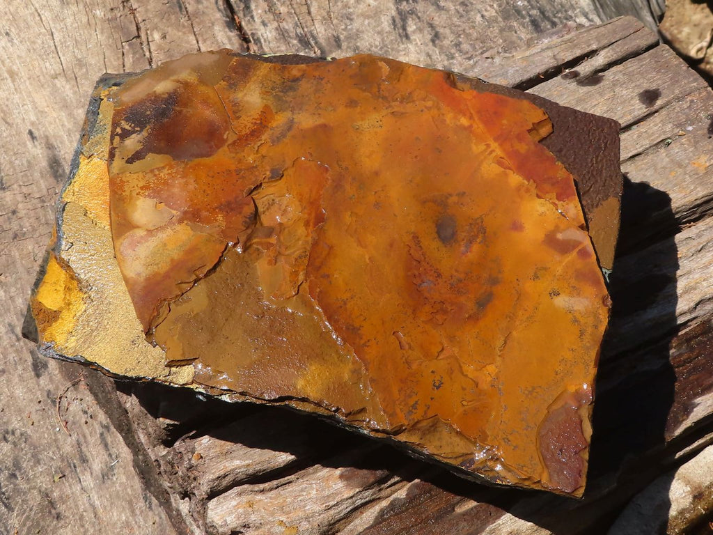 Natural Golden Blue Tigers Eye Specimen x 1 From Prieska, South Africa - TopRock