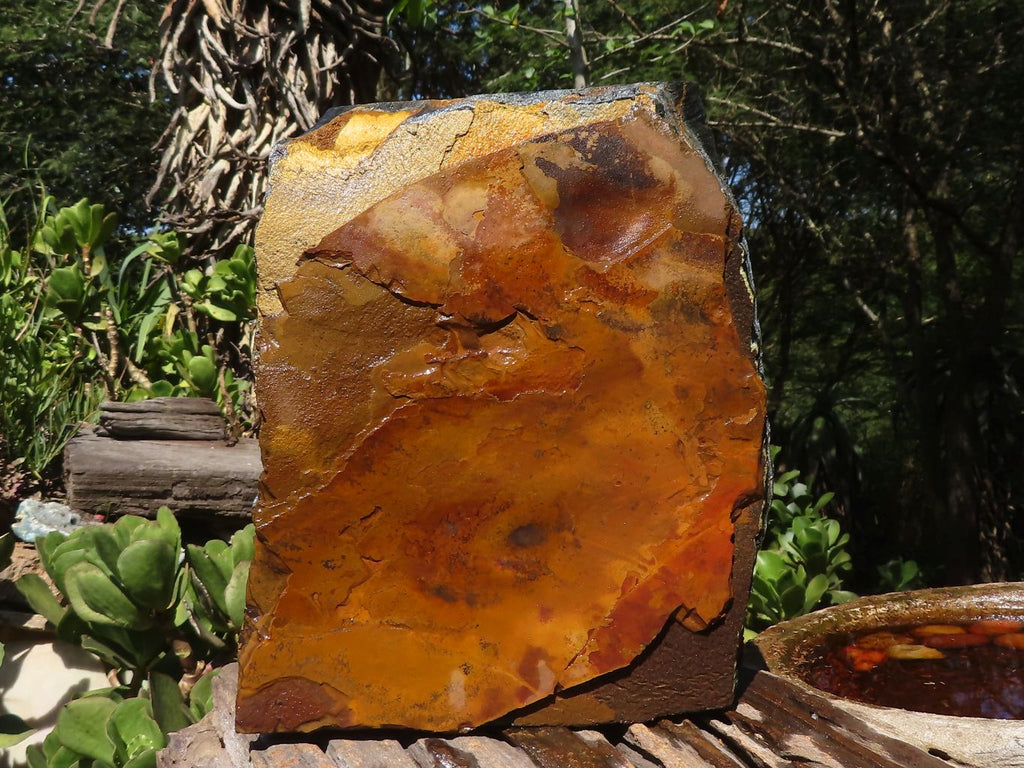 Natural Golden Blue Tigers Eye Specimen x 1 From Prieska, South Africa - TopRock