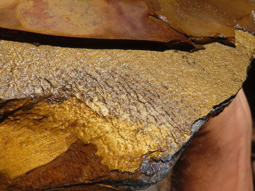 Natural Golden Blue Tigers Eye Specimen x 1 From Prieska, South Africa - TopRock