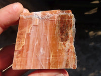 Natural New Sunset Orange Calcite Specimens  x 12 From Spitzkop, Namibia - Toprock Gemstones and Minerals 
