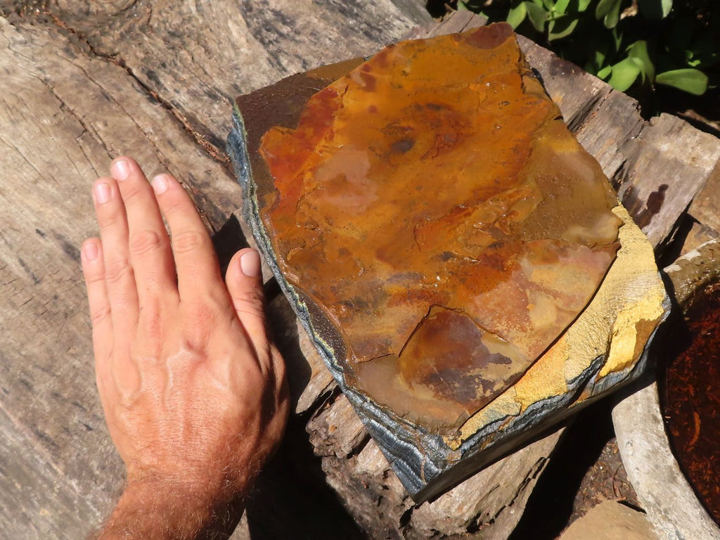 Natural Golden Blue Tigers Eye Specimen x 1 From Prieska, South Africa - TopRock