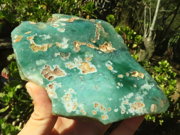Polished One Side Polished Mtorolite Plates  x 3 From Zimbabwe - Toprock Gemstones and Minerals 