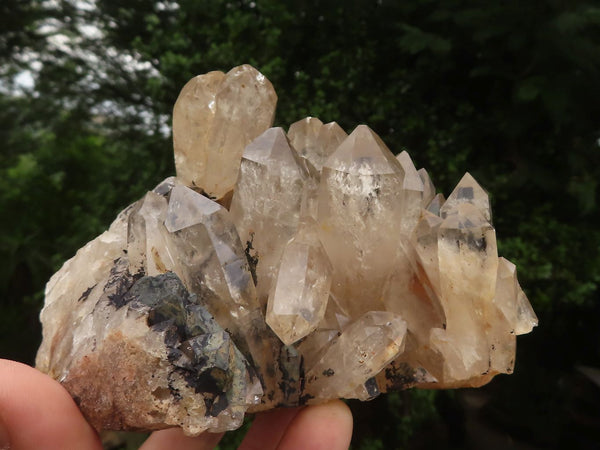 Natural Pair Of Quartz Clusters  x 2 From Madagascar - TopRock