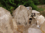 Natural Pair Of Quartz Clusters  x 2 From Madagascar - TopRock
