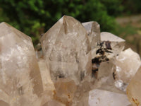 Natural Pair Of Quartz Clusters  x 2 From Madagascar - TopRock