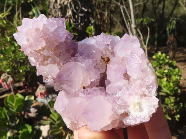 Natural Mixed Spirit Amethyst Quartz Clusters  x 4 From Boekenhouthoek, South Africa - Toprock Gemstones and Minerals 