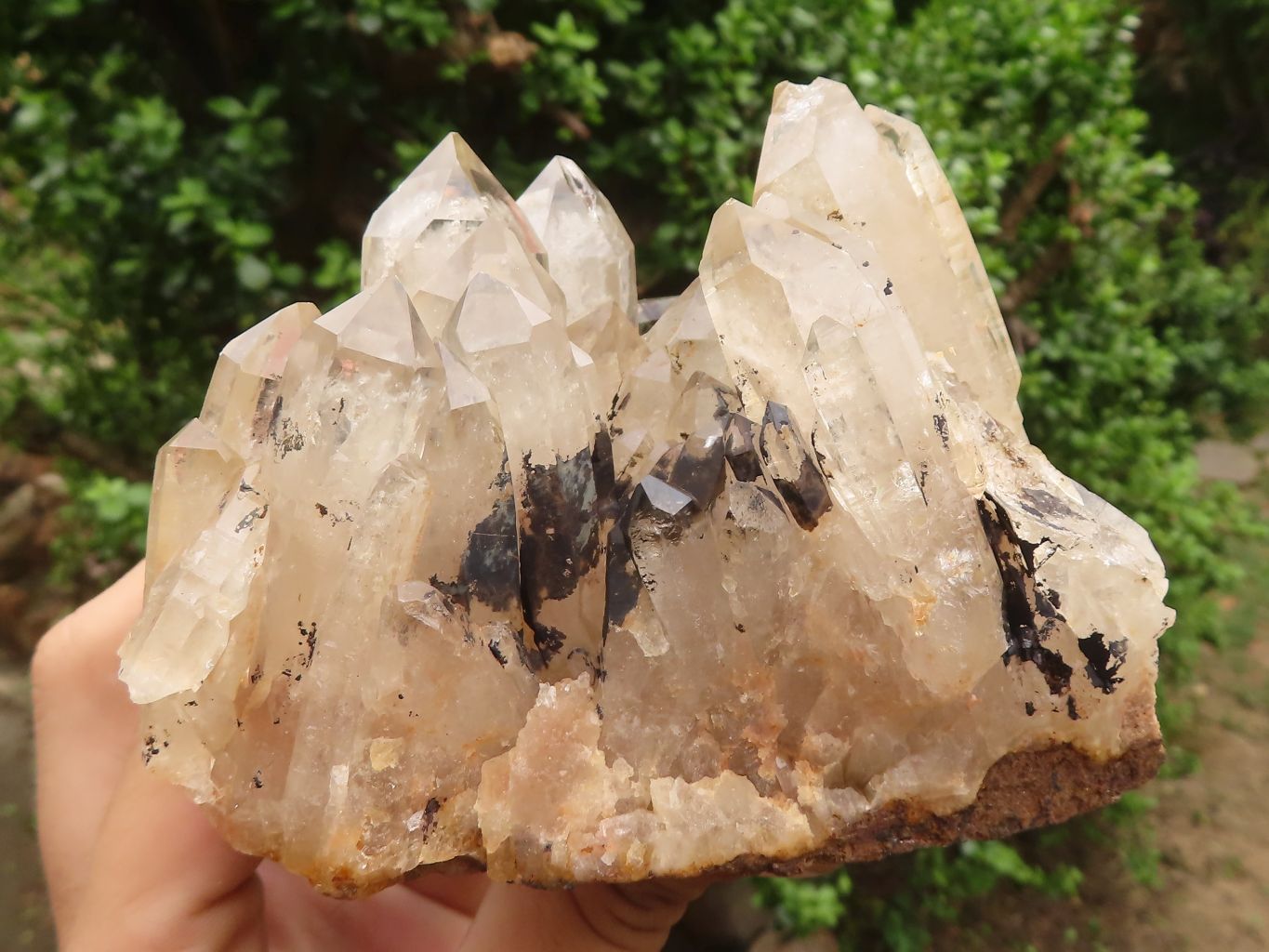 Natural Pair Of Quartz Clusters  x 2 From Madagascar - TopRock